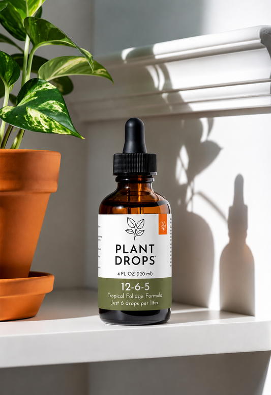 TROPICAL FOLIAGE FORMULA
