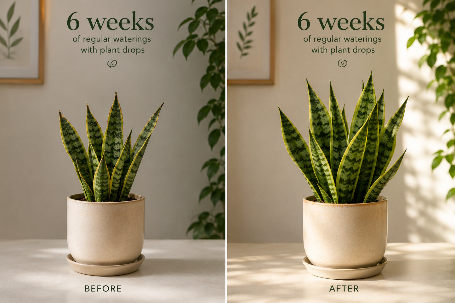 Urban Living - Potted Plant Formula