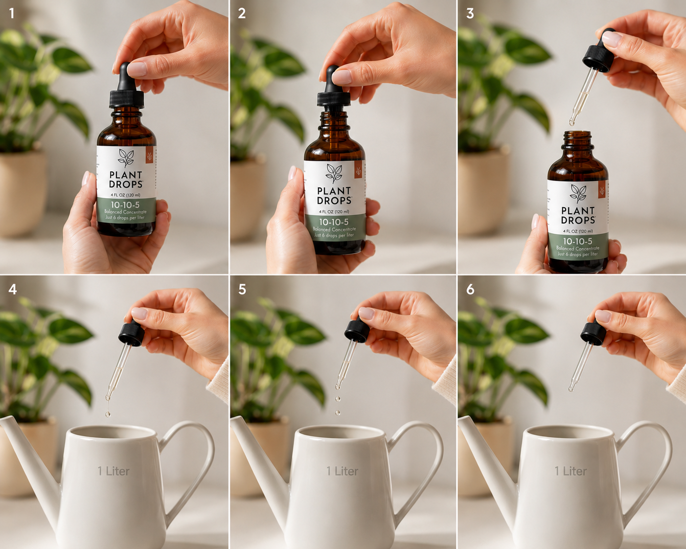 Urban Living - Potted Plant Formula